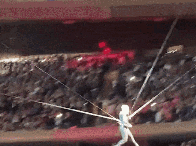 Have you ever been to a concert?