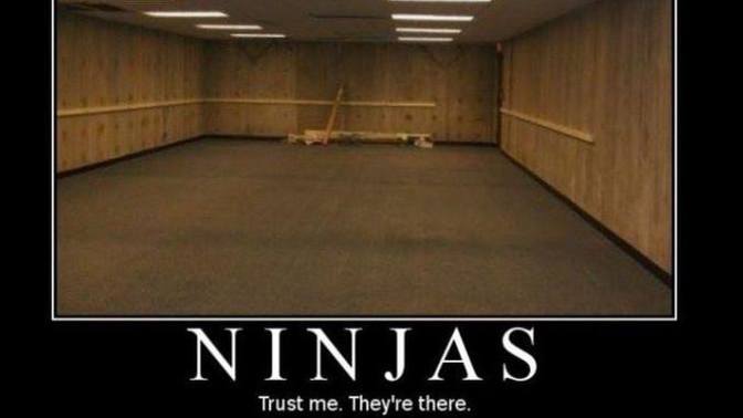 Which of these Ninja's looks cooler to you?