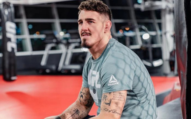 UFC fight night. Who wins ?