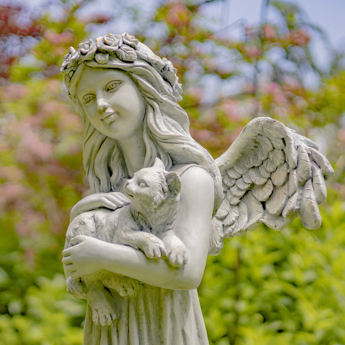 An angel holding a holy animal.