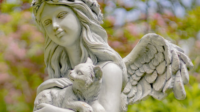 Do you agree that Angelici is the best variation of Christianity for me in finding a happy, serene, altruistic woman?