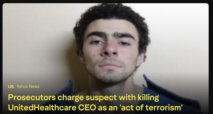 Did Luigi commit a terrorist act?