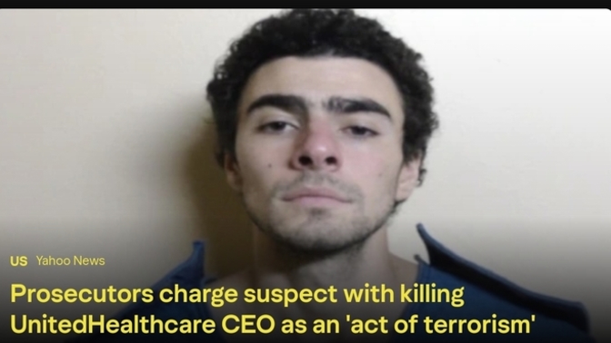 Did Luigi commit a terrorist act?