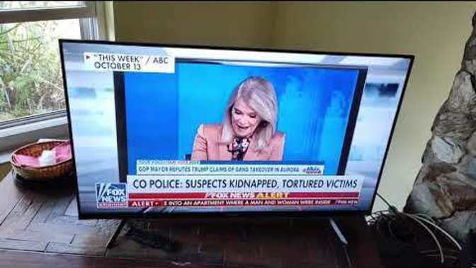 Can you believe what these foreign gangs are doing?