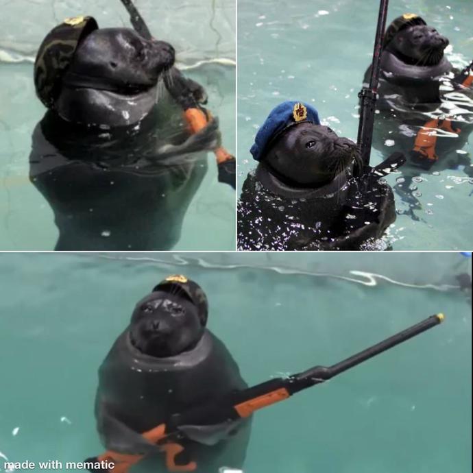Guys, Do the Democrats need to get new material? They said Trump would send the SEALS in to kill journalists?