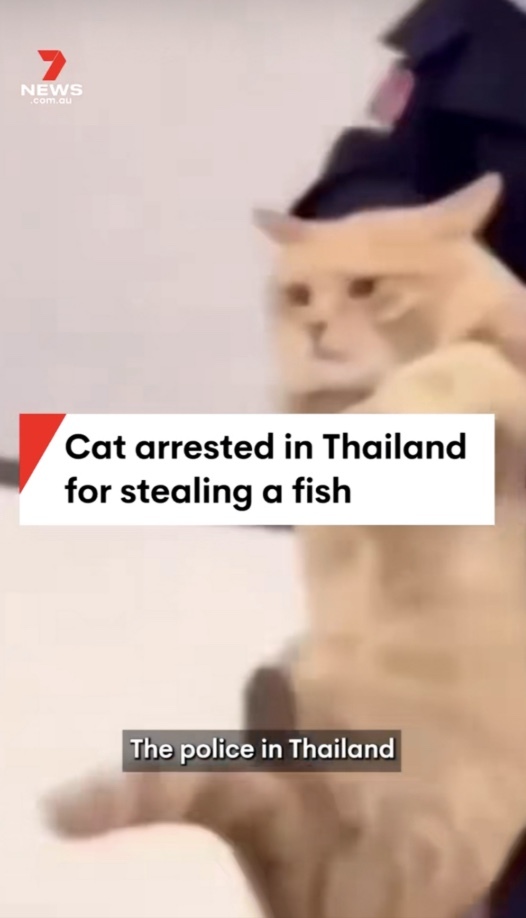 Should he be sent to jail?
