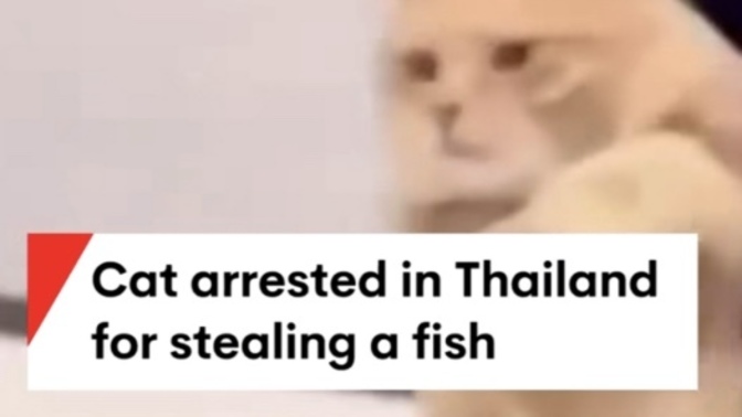 Should he be sent to jail?