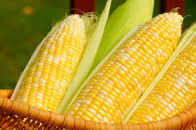 When you think read or hear the word vegetable what vegetable springs to mind first (think before clicking)?