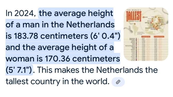 Would you be below or above average height in The Netherlands the tallest country in the world?