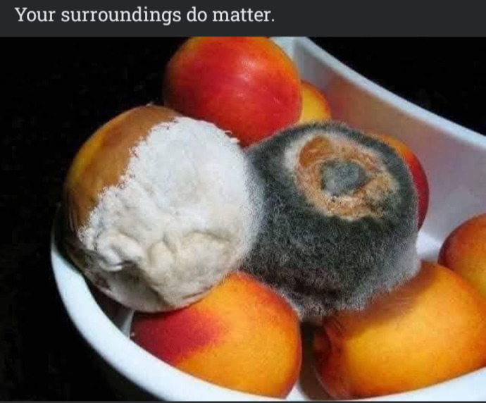 Do you agree that the people you surround yourself with influence you?
