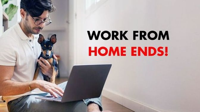 Will you CHANGE JOBS now that WFH is ENDING?