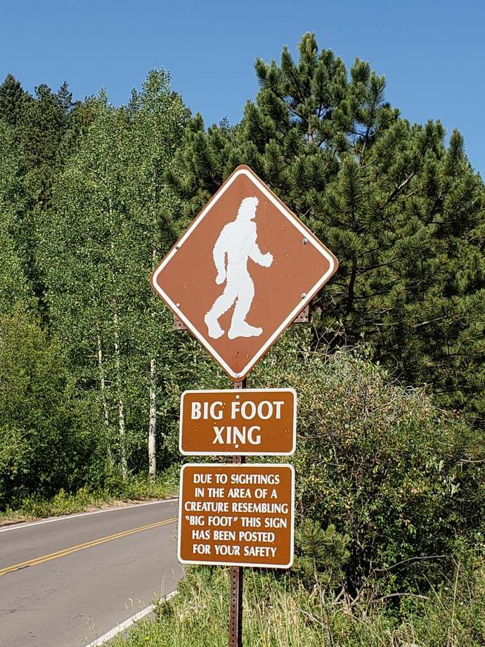 Do you Believe BigFoot is Real?