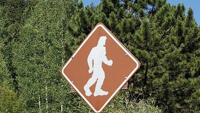 Do you Believe BigFoot is Real?