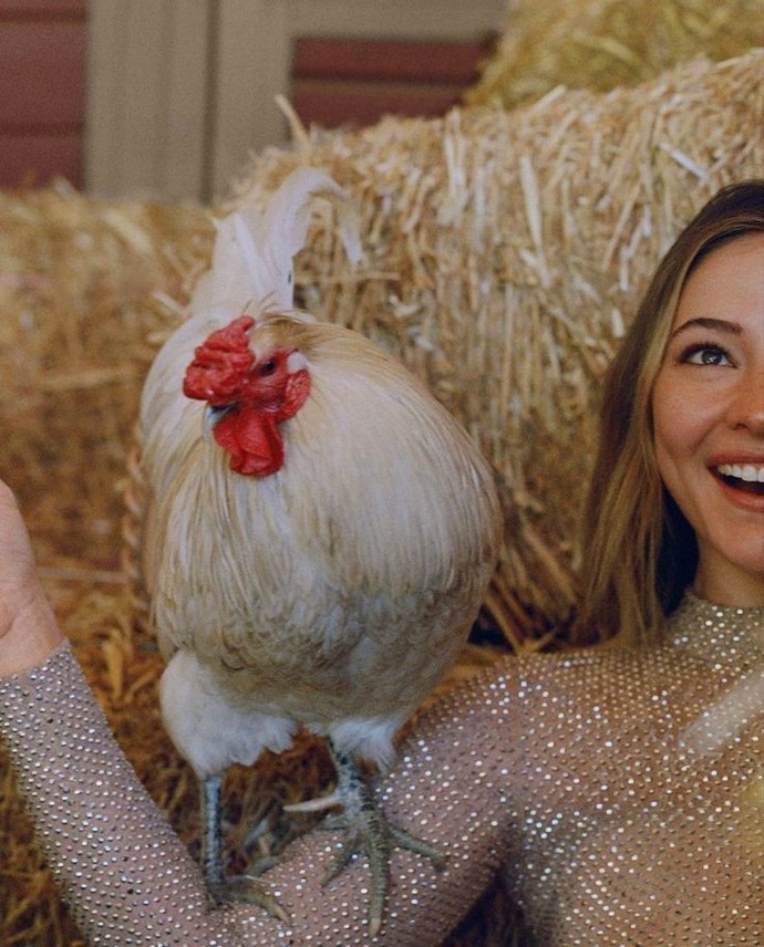Should every woman have a rooster?