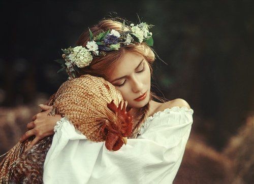 Should every woman have a rooster?