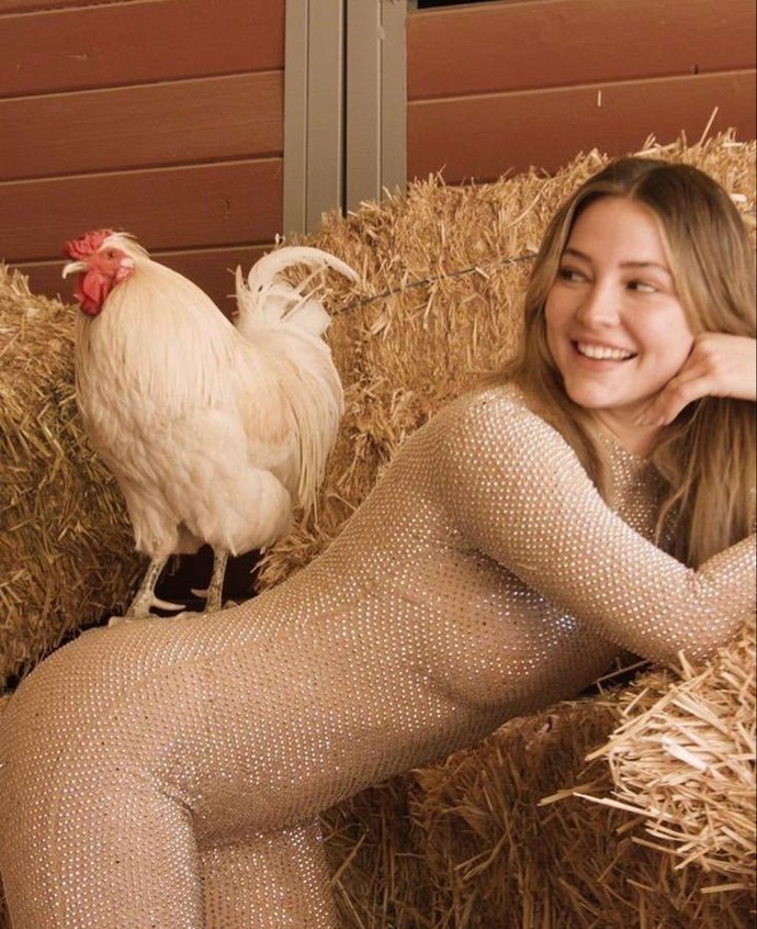 Should every woman have a rooster?