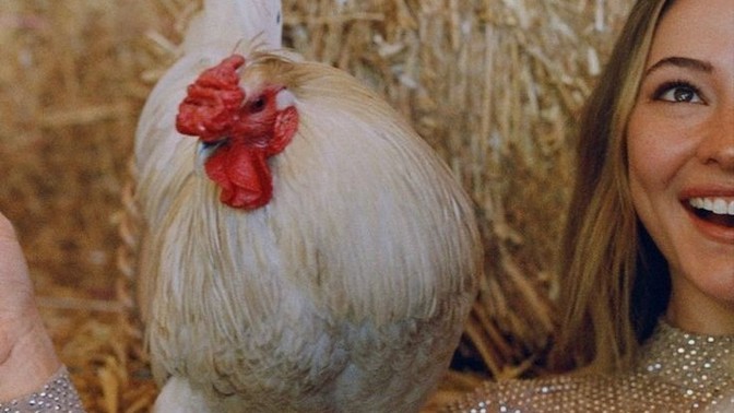 Should every woman have a rooster?
