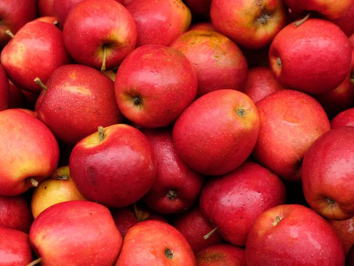When you think read or hear the word fruit what fruit springs to mind first (think before clicking)?