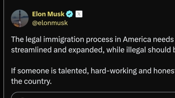 Does Musk prove illegals can be good investments?