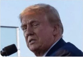 So how do you feel about your new president?