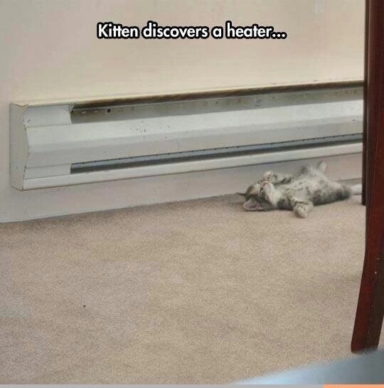 How often would you say you have the heat on in your place?