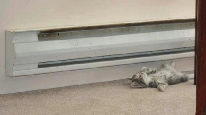 How often would you say you have the heat on in your place?