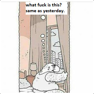 What are your plans for the New Year?