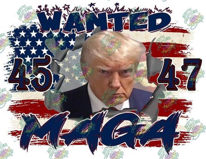 Trump supporters, do you wish Trump had had eight consecutive years as president, or are you glad there was a four-year break between terms?