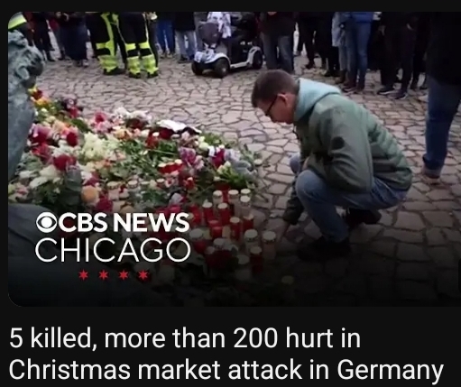 Why are they so murderous?