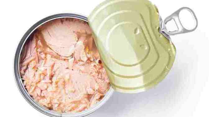 Do you like canned tuna?