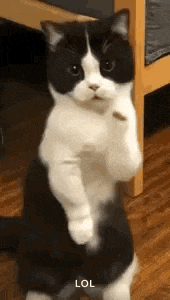 I got moves