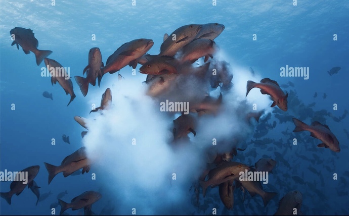 There are plenty of fishes in the sea, why u go through all the drama?