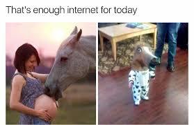 I no vampires aren't real but do you think it would be possible for a vampire to become human again after being turned?