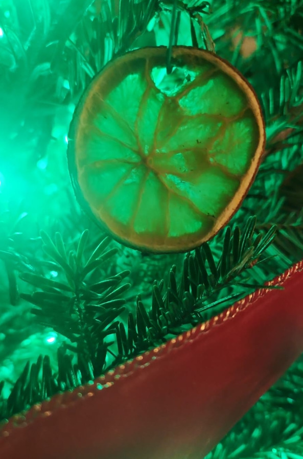 What homemade ornaments do you have on your tree?