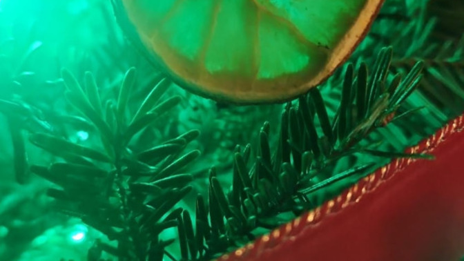 What homemade ornaments do you have on your tree?