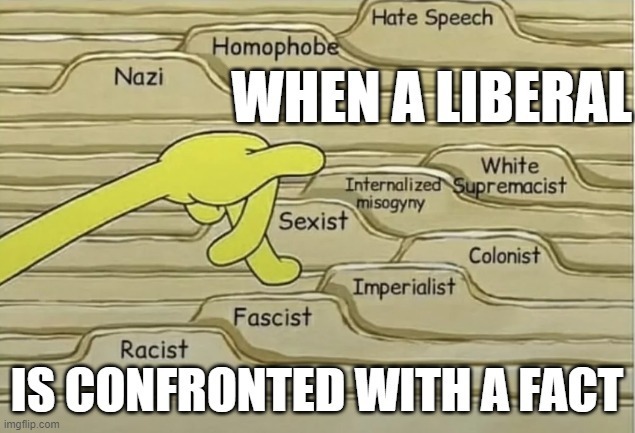 How would you react If you heard someone say that the MAGA crowd are traitors?
