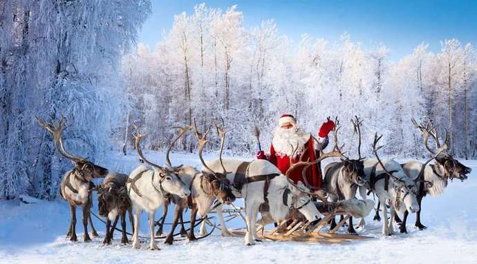 Fun Christmas fact! Did you know that all of santas reindeers are girls🦌💕?