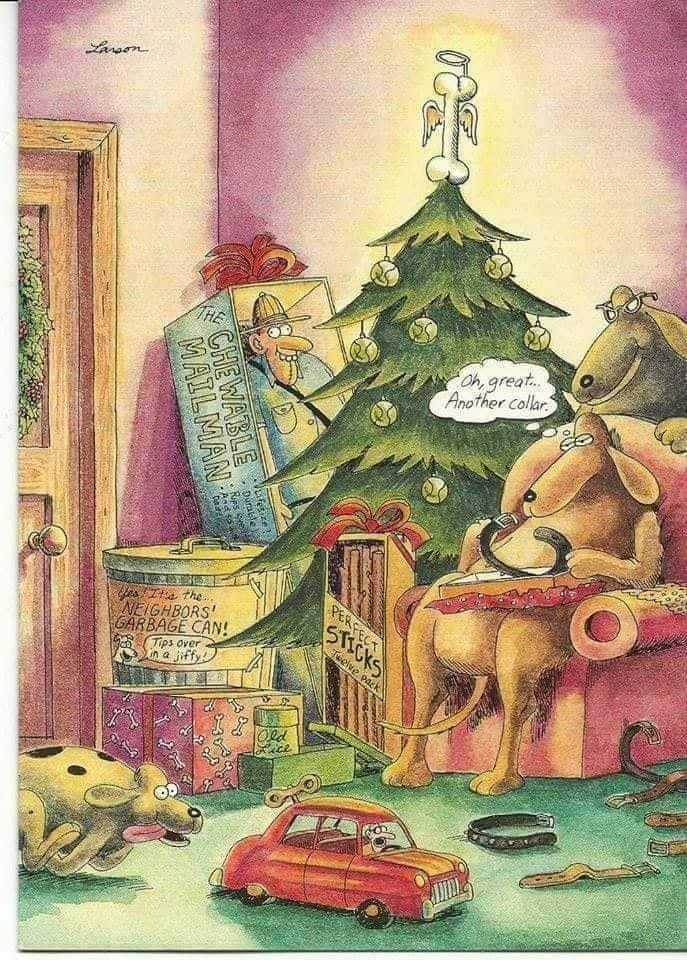 Fun Christmas fact! Did you know that all of santas reindeers are girls🦌💕?
