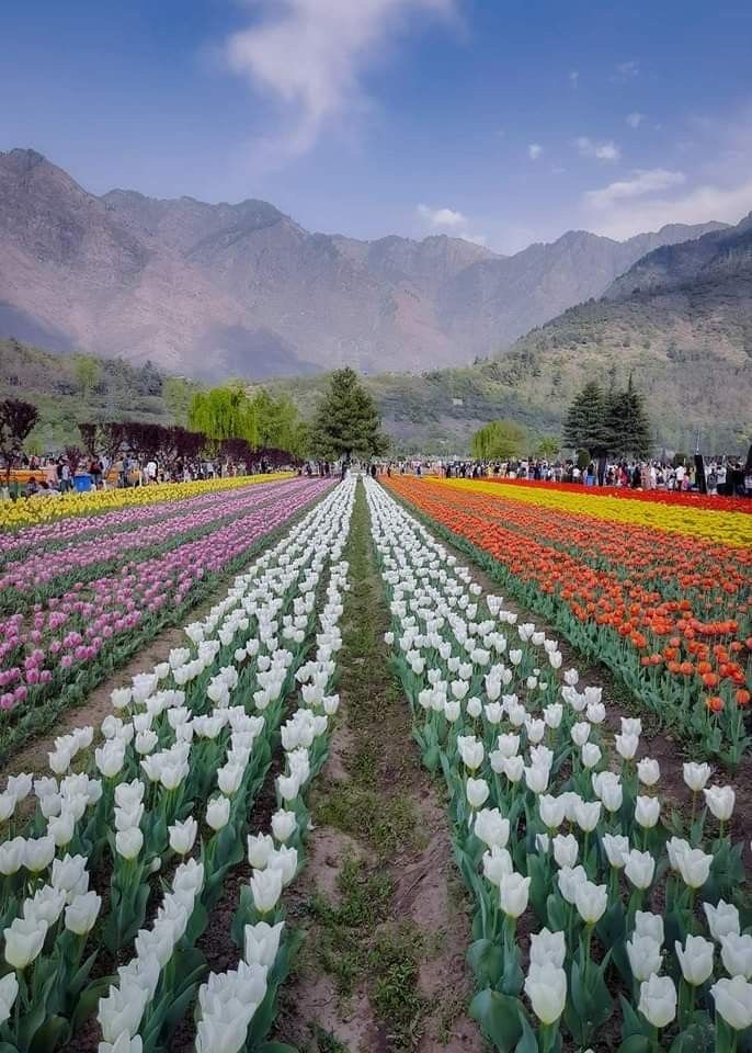 Does Kashmir seem beautiful to you? Would you visit?