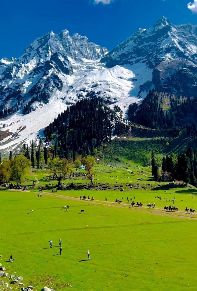 Does Kashmir seem beautiful to you? Would you visit?