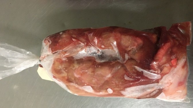 What did you do with the turkey giblets?