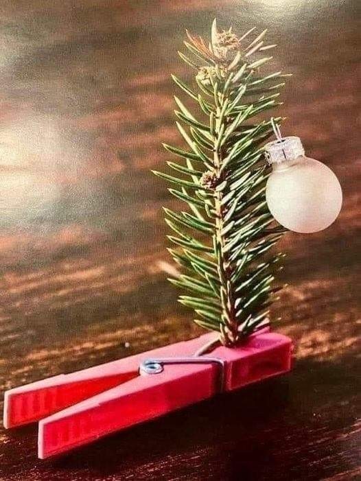 Did you have a nice Christmas this year?