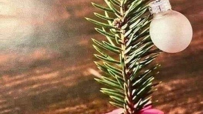 Did you have a nice Christmas this year?
