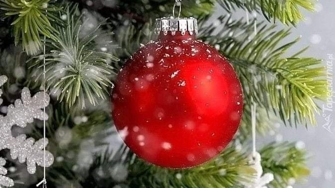 Do you put more than one tree up?