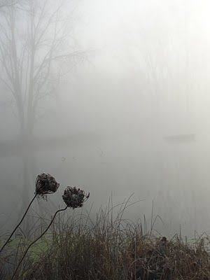 Do you love foggy weather?