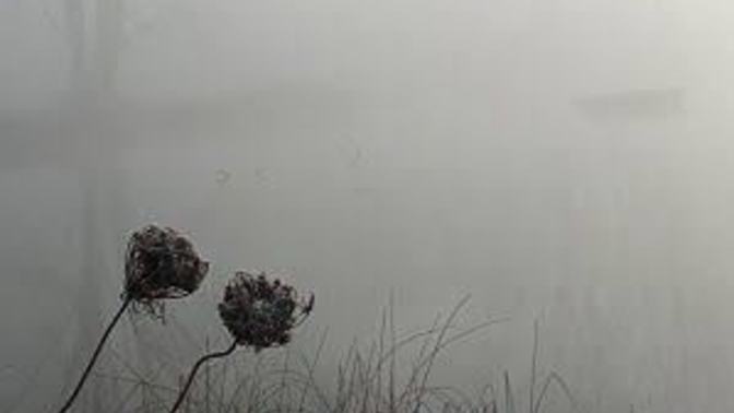 Do you love foggy weather?