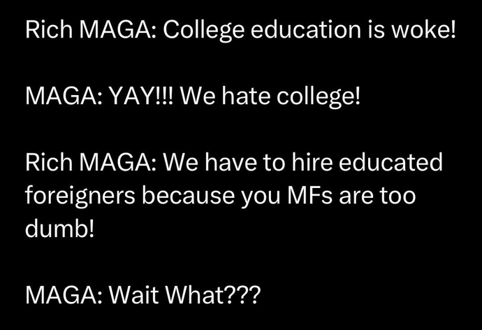 Do you think Musk is right when he says Americans aren't talented or motivated enough?