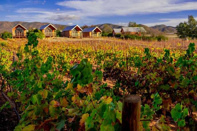 Valle de Guadalupe