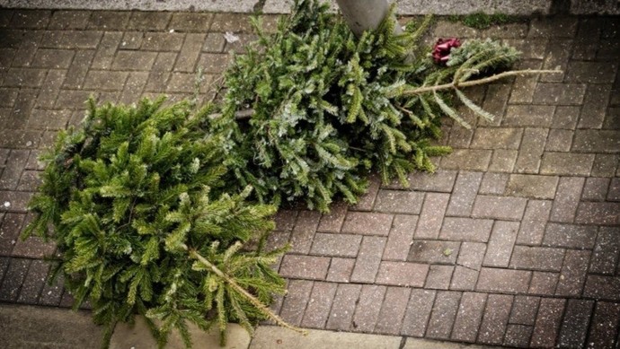 When do you take down your Christmas tree 🎄?