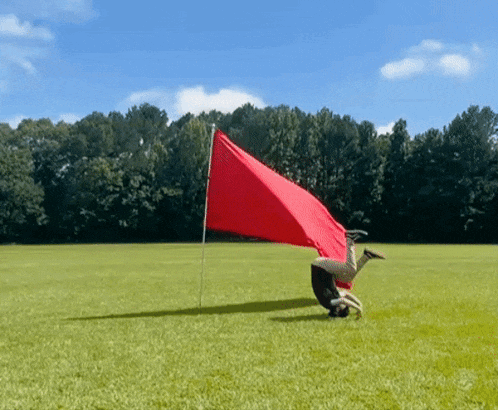 Because a friend told me I have a cropped red flag, lol, what are the red flags that you would never tolerate while seeking a romantic relationship?